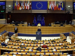 Как Европарламент отреагировал на поток мигрантов из Беларуси в Литву
