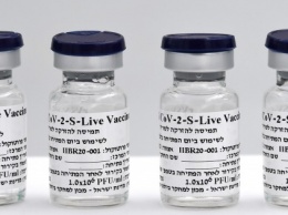Израильскую вакцину от Covid-19 отправят на испытания в Украину и Грузию