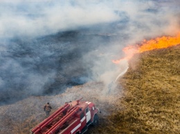 В Киеве и области объявили чрезвычайную пожароопасность: что запрещено делать