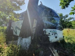 На Харьковщине пассажирский автобус слетел с дороги и врезался в дерево, - ФОТО