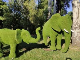 В парке Героев Кривого Рога появились слоны, бегемоты и львы