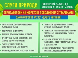 Рада приняла законопроект об усилении борьбы против жестокого обращения с животными