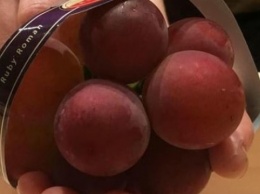 В Японии гроздь винограда продали за рекордные $12 тысяч