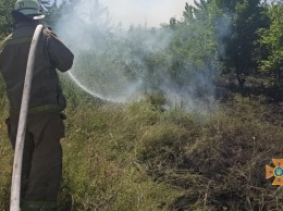 В Запорожской области за сутки случилось 11 пожаров на природе