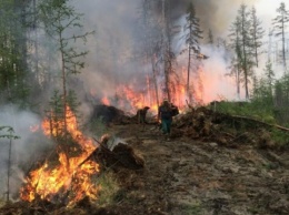 Дым от лесных пожаров остановил авиасообщение и суднопластво в регионе РФ