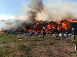 Восемь пожаров за сутки: Одесская область горит из-за жары