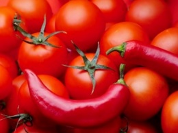 Как приготовить фаршированные помидоры: три быстрых рецепта