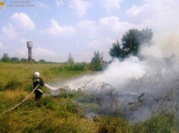 Спасатели Херсонщины за прошедшие сутки 9 раз привлекались к ликвидации возгораний в природных экосистемах