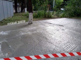 Во дворе днепровской многоєтажки залили в бетон даже деревья (ФОТО)