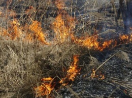 За выходные в Крыму 13 раз горела сухая трава