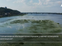 Николаев пьет воду из Днепра, ученые говорят - это уже не река (ВИДЕО)