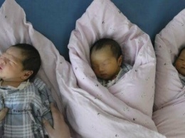 Дети как "вещественное доказательство": в России у китайских родителей забрали суррогатных младенцев