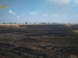 В Харьковской области спасатели не дали сгореть сотне гектар пшеничного поля, - ФОТО
