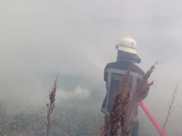 На Херсонщине спасатели потушили пожар сухостоя на подступах к частному дому
