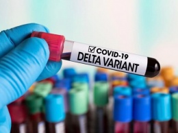 Реагируют только на "Дельту": Украина получит ПЦР-тесты для определения индийского штамма коронавируса