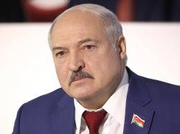 Лукашенко сравнил литовских пограничников с фашистами