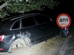 В Киеве пьяная судья чуть не поубивала людей и «влетела» в дерево, - ВИДЕО