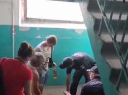 В Харькове бультерьер напал на людей: один человек в больнице, - ФОТО