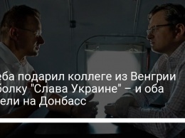 Кулеба подарил коллеге из Венгрии футболку "Слава Украине" - и оба улетели на Донбасс