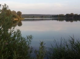 Экологи заявляют о варварском уничтожении озера Витовец в Бортничах (фото)