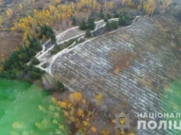 Правоохранители сообщили о подозрении в незаконной вырубке леса должностным лицам госпредприятия "Киевлесозащита" (фото)