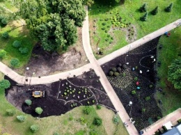 Голландский подход: в парке "Веселка" высадили 13 тысяч растений
