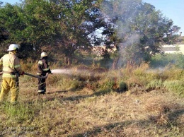 В Никополе сгорел 1 гектар сухостоя