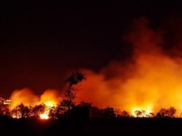 В сеть попало видео бушующих пожаров на западе США
