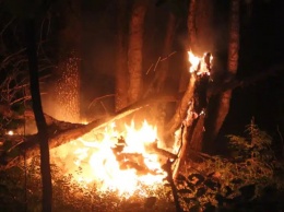 Огонь лесных пожаров в Карелии добрался до Финляндии