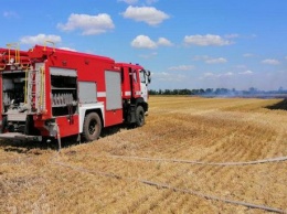 В Николаевской области горело пшеничное поле