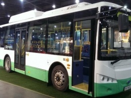 С душных маршруток на современный электротранспорт: в Киеве появятся новые электробусы
