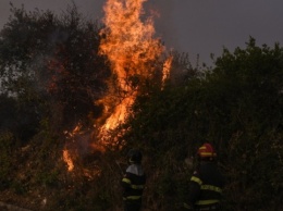 Сардинию охватили масштабные лесные пожары - объявили чрезвычайное положение