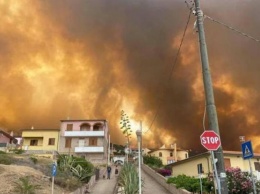 Италию охватили масштабные лесные пожары (фото)