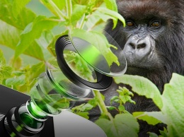 Новые защитные стекла Gorilla Glass DX и DX+ для камер смартфонов первыми получат смартфоны Samsung