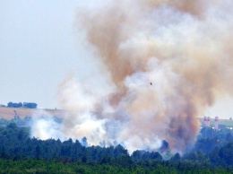 Масштабный пожар на острове Хортица: сосновый лес тушили 65 спасателей