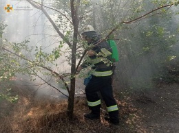 17 пожаров на открытых территориях - печальный суточный рекорд Херсонщины