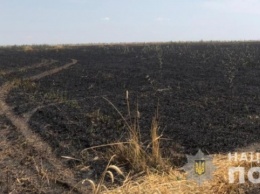 В Одесской области огонь уничтожил 13 гектаров пшеничного поля