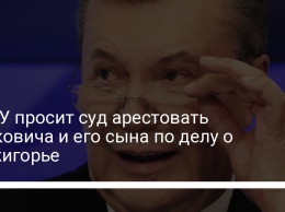 НАБУ просит суд арестовать Януковича и его сына по делу о Межигорье