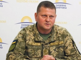 Генерал Залужный возглавил Вооруженные силы Украины. Что о нем известно?