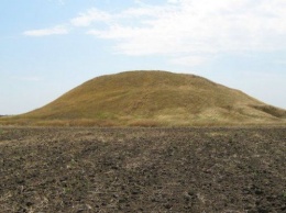 Под Харьковом на древних курганах посадили пшеницу и подсолнухи