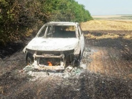 Из-за горевшей на полевой дороге «Таврии» уничтожено 20 га пшеницы и Suzuki Vitara (фото)