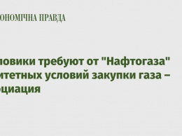 Тепловики требуют от "Нафтогаза" паритетных условий закупки газа - ассоциация