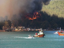 В Турции уже потушили лесные пожары