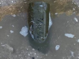 На пляже главного курорта «ДНР» дети откопали боеприпас,- ФОТО