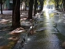 В Кривом Роге питьевая вода затопила всю улицу