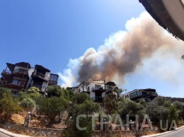 В Турции продолжают гореть леса. Мощный пожар настиг курортный Бодрум. Фото и видео