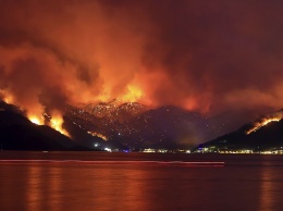 В Турции удалось взять под контроль распространение более 100 лесных пожаров