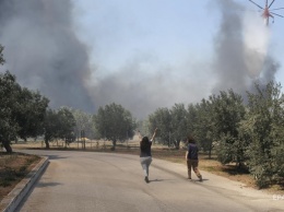 Лесные пожары в Греции: эвакуированы более 600 человек