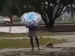 Мать выгуливала ребенка в дождь в одном подгузнике