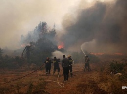 Лесные пожары в Греции: погибло два человека